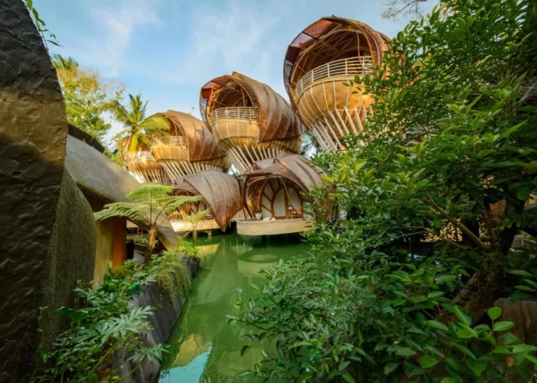 Best eco hotels for families: A Professional Guide to Sustainable Hospitality Development
