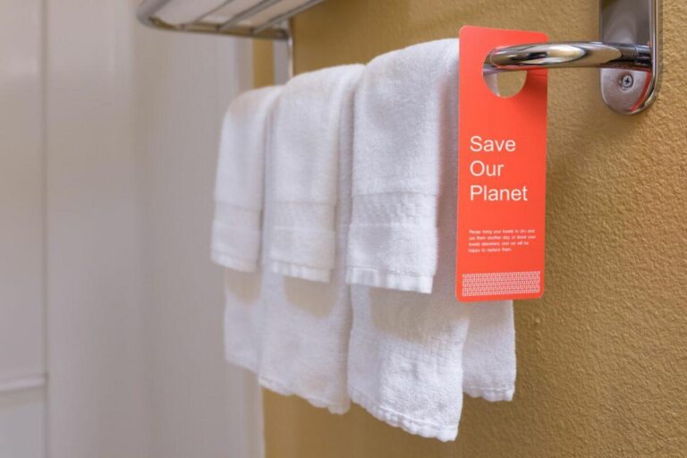 How to Avoid Eco Hotels Greenwashing Risks: An Auditor’s Guide