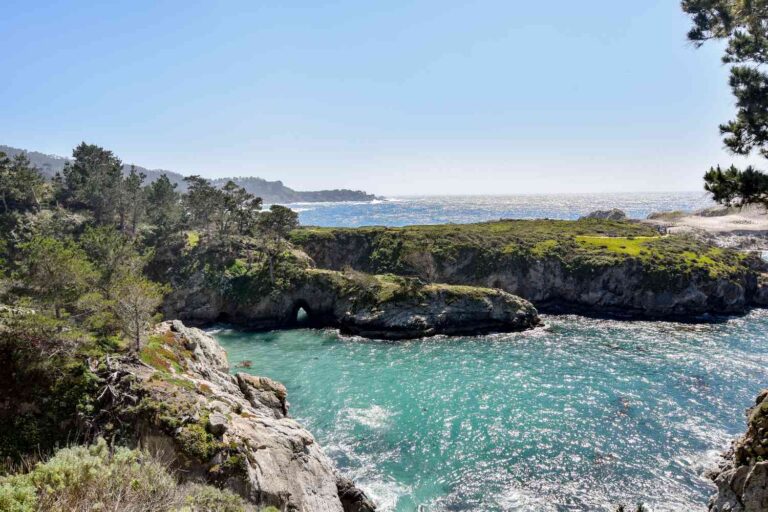 Top Coastal Eco Experiences in America: A Guide to Regenerative Travel